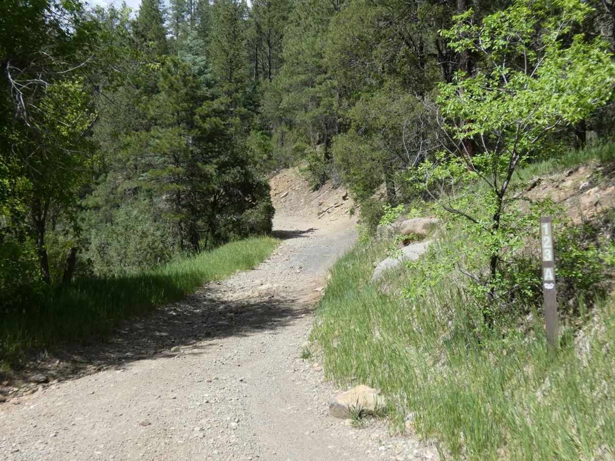 Dalton Canyon Loop photo 6