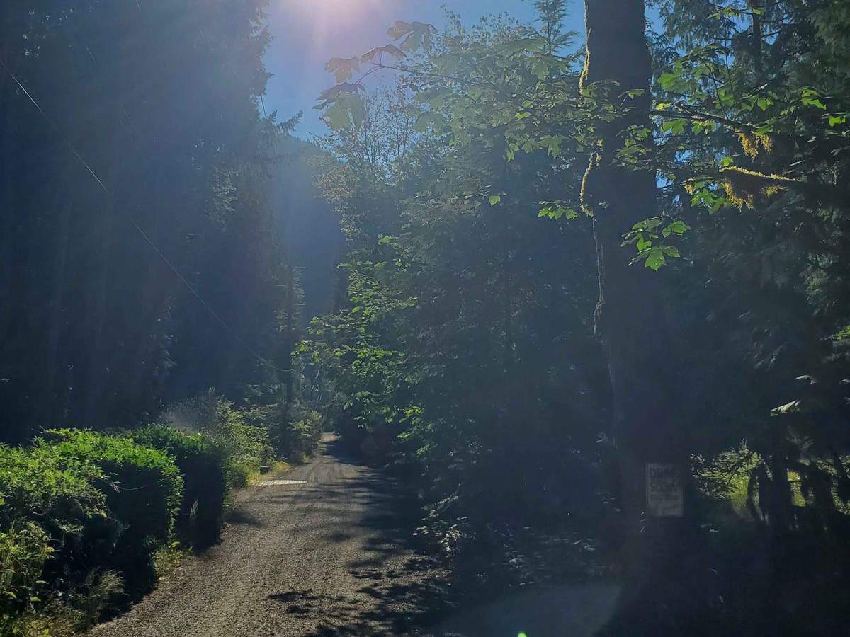 Road to Zigzag Mountain Hiking Trail trail photo