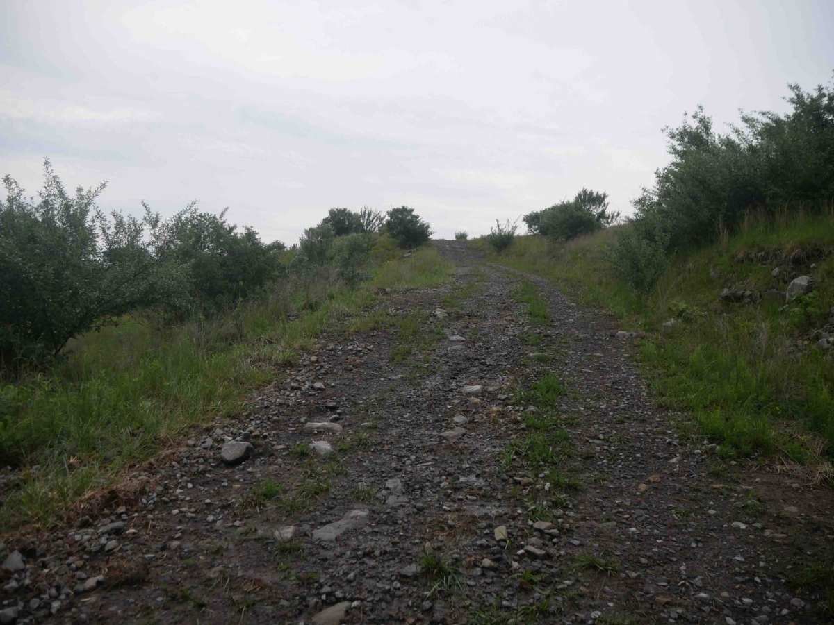 CC42 photo 5