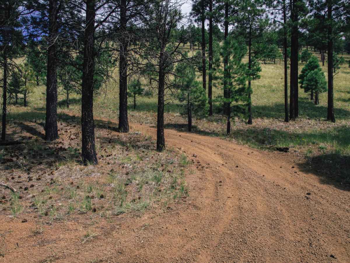 Gumdrop trail photo