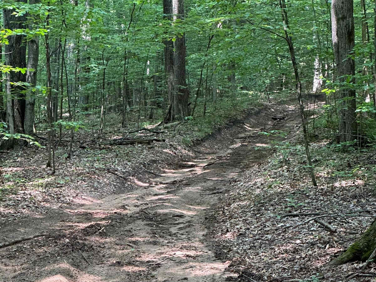 Milnichol Loop photo 2