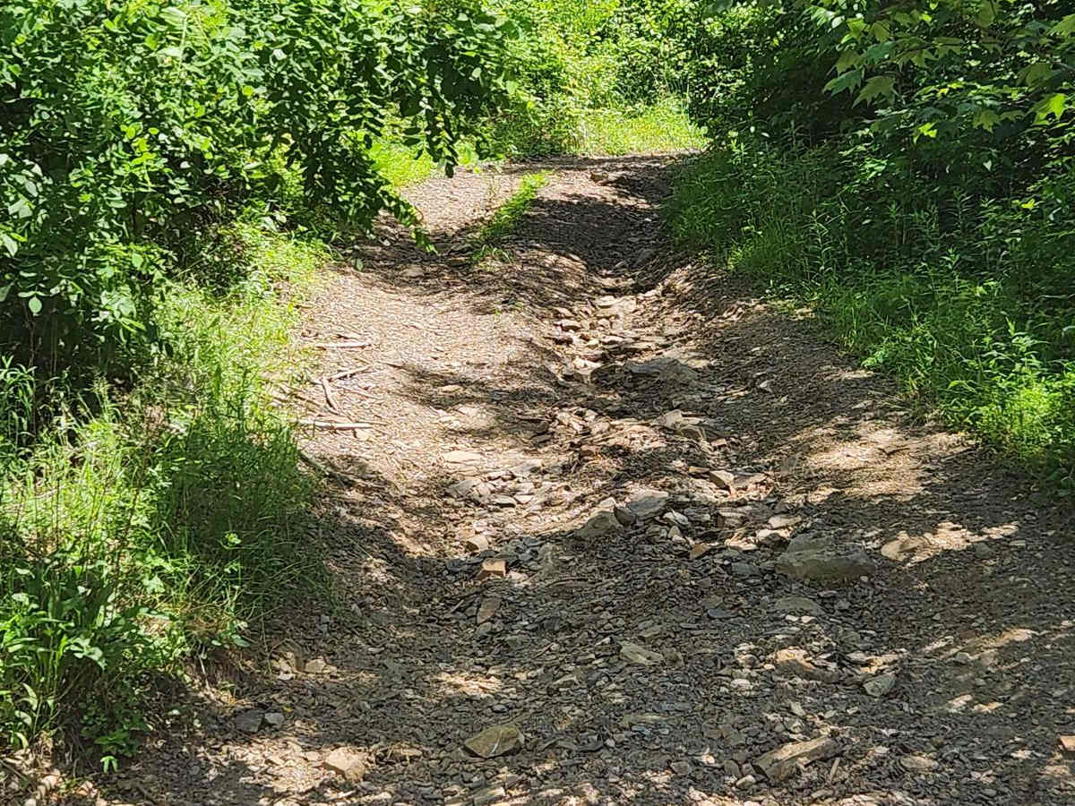 Trail 9B - Rock Run Recreation Area photo 3