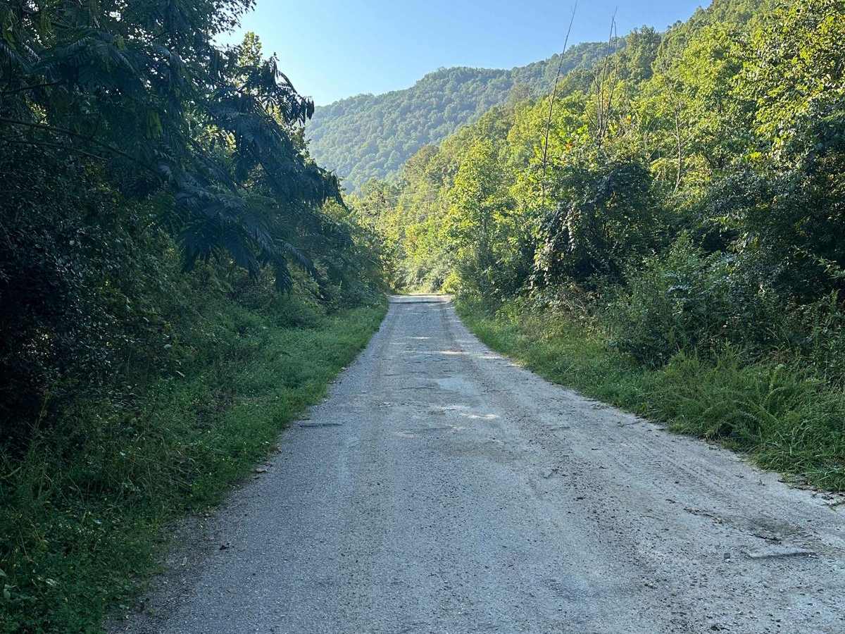 Gabe's Branch Road trail photo