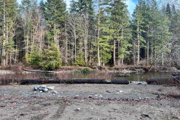 Riverside Beach Campsite