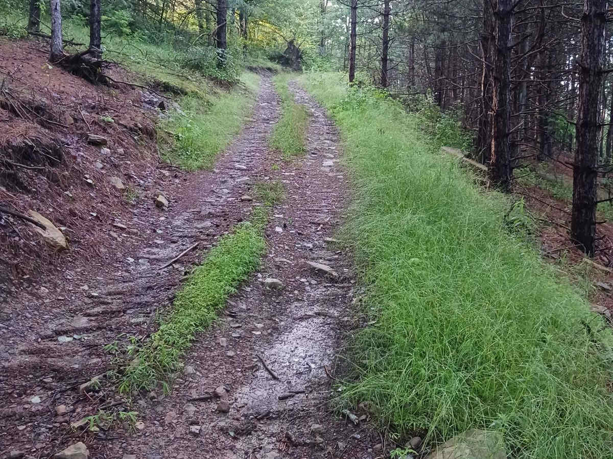 Trail 11I - Rock Run Recreation Area photo 2