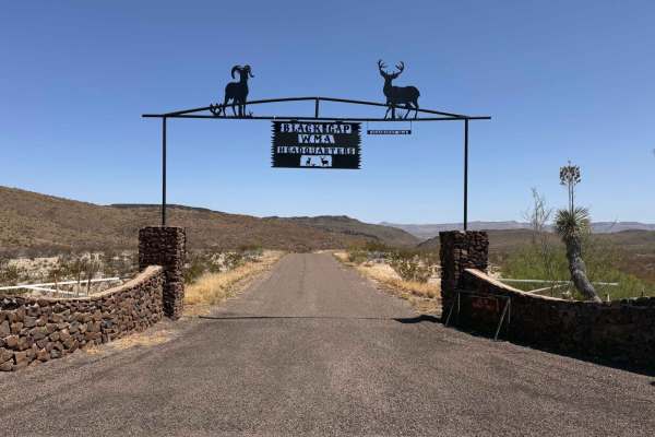 Black Gap Wildlife Management Area Road