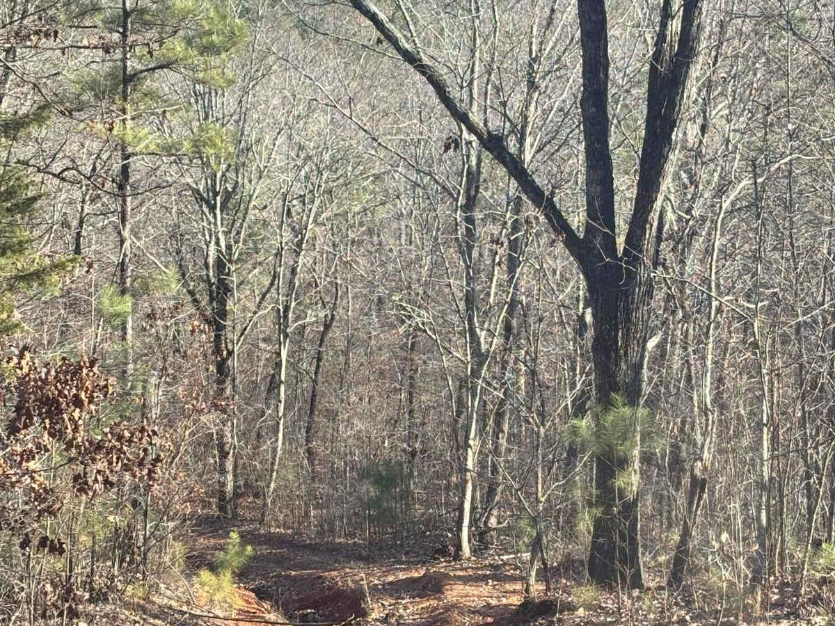 22A trail photo