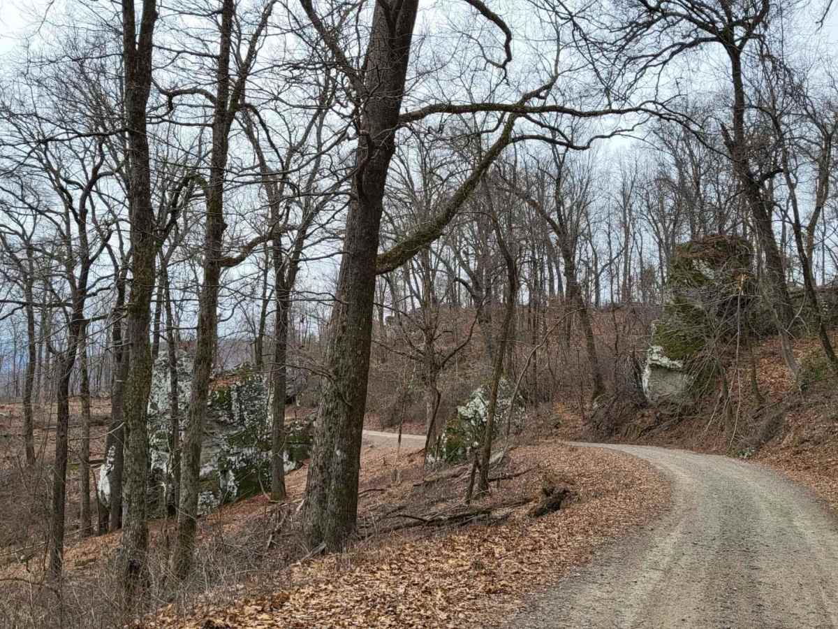 White Rock Mountain - East photo 4