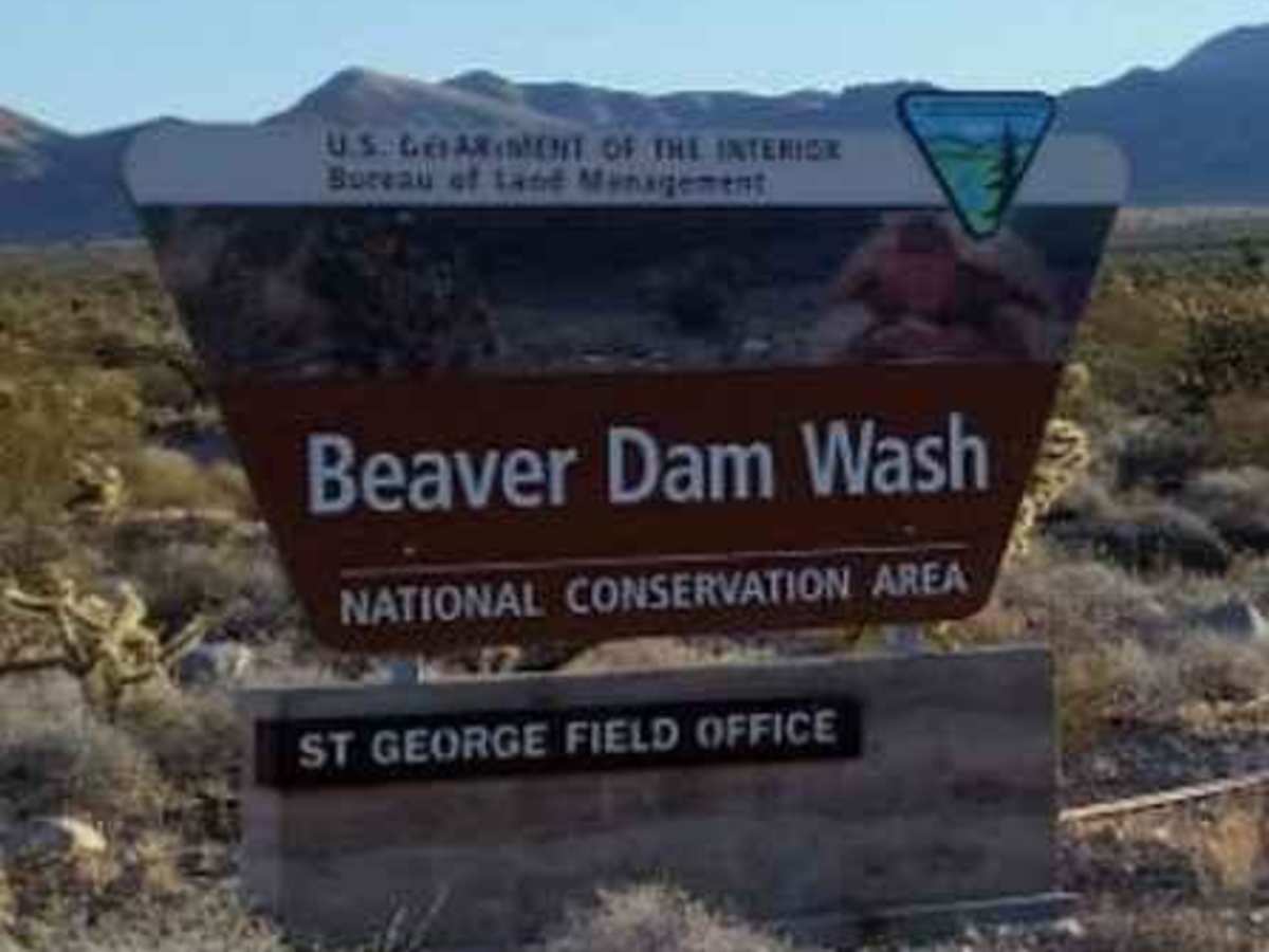Waterline Road-BLM30095 photo 2