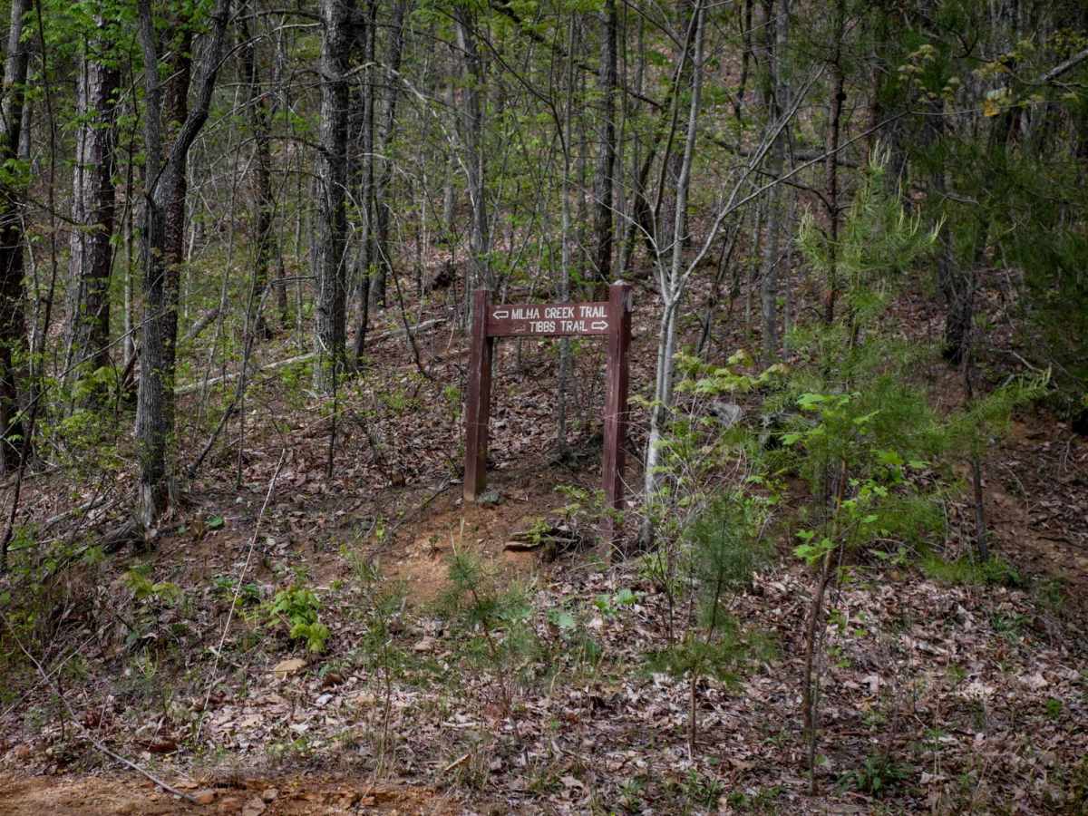 Tibbs ATV photo 2