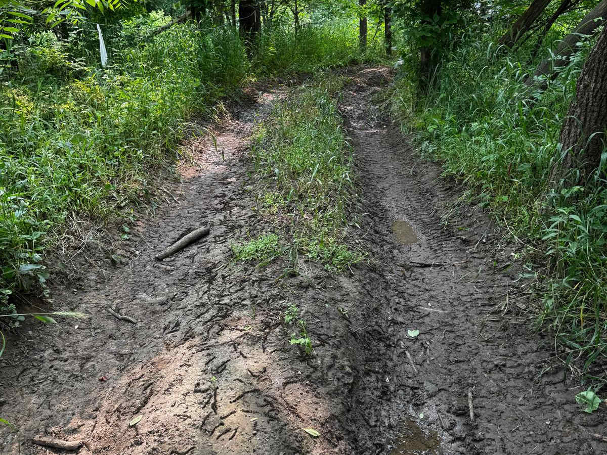 Green 60 trail photo