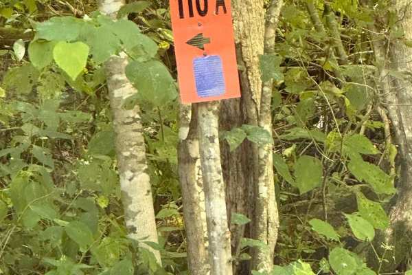 110A