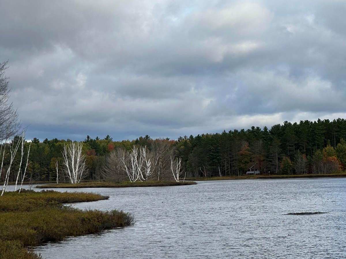 Doe Lake/Red Jack Lake photo 3