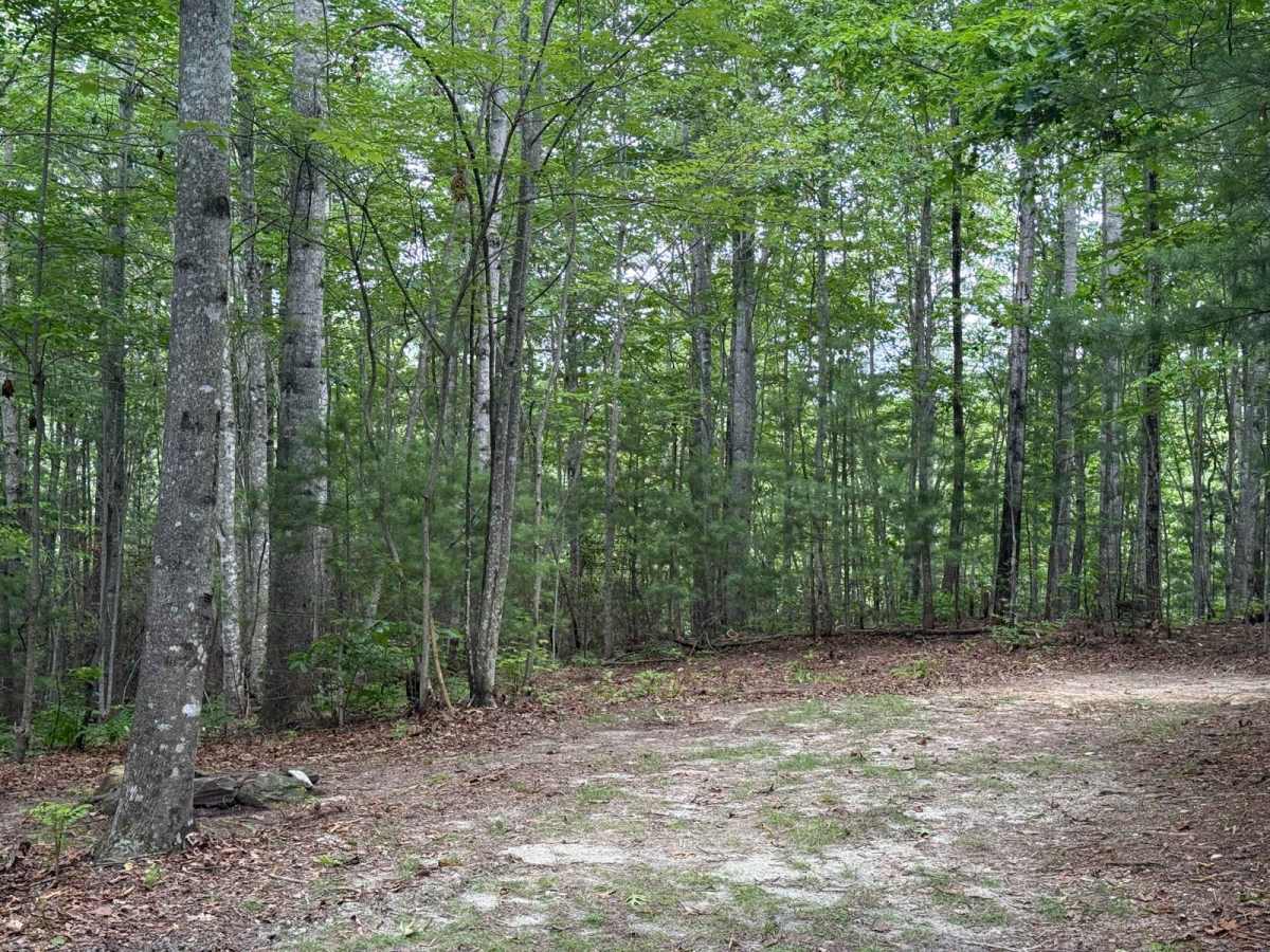 School House Ridge - FS 4068 photo 3