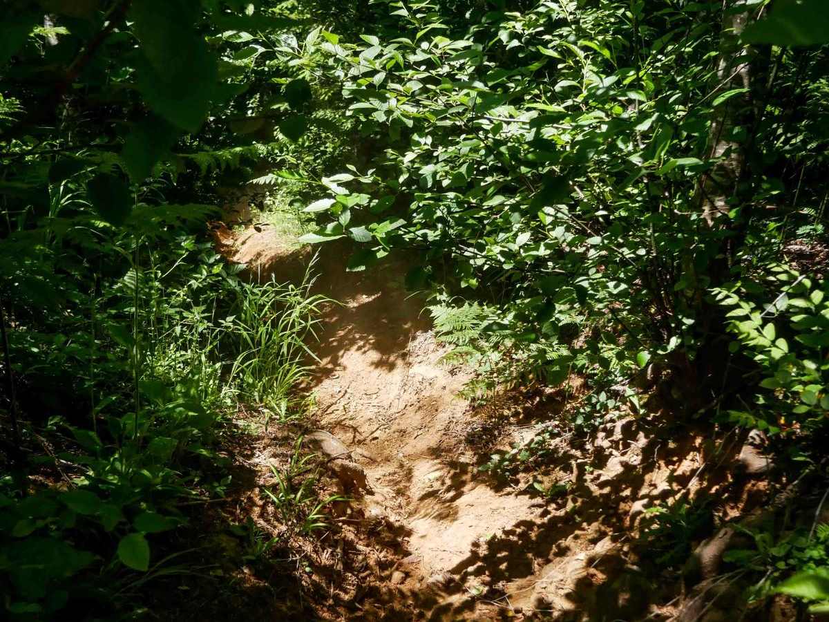Chainbreaker #33 photo 5