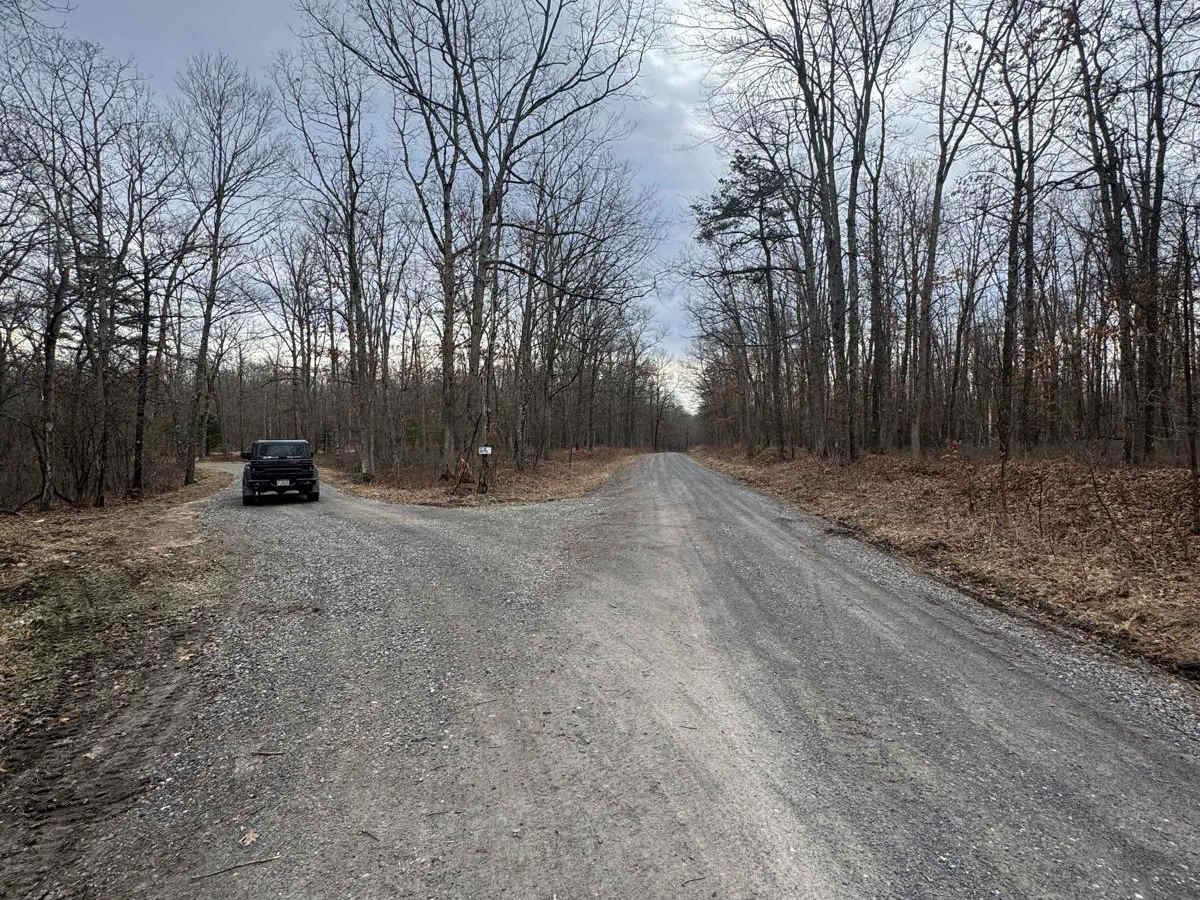 Clubhouse Road trail photo