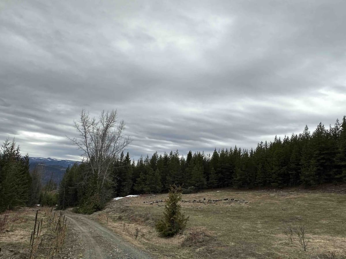 Albers Creek Road trail photo