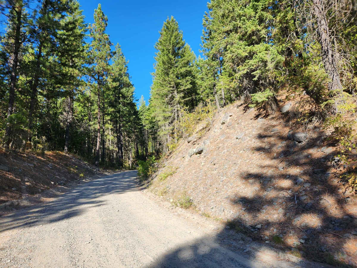 Solomon Lake photo 2