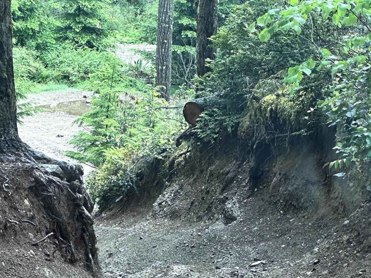 Door Bender Trail trail photo