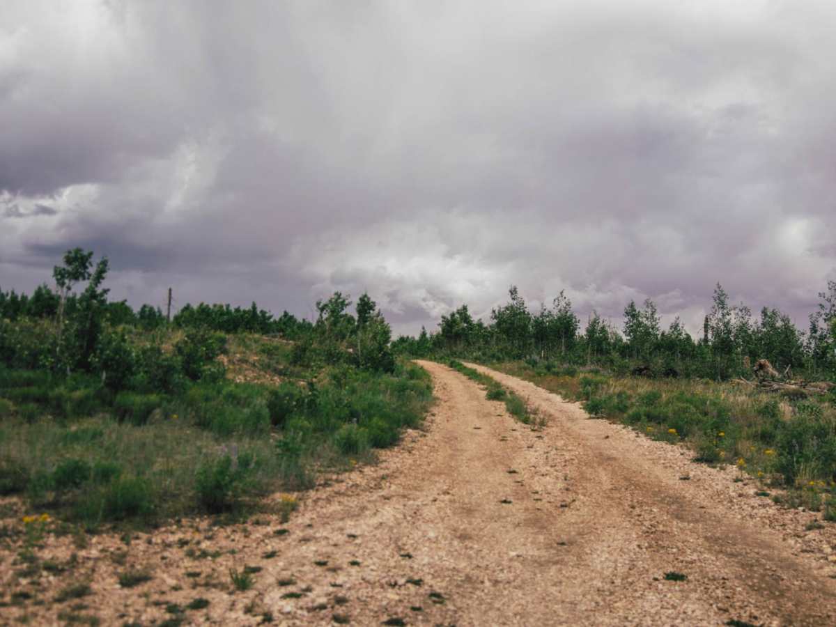 4169/Red Point trail photo