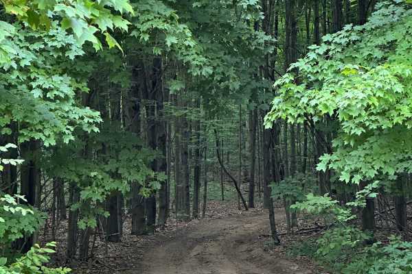 Milnichol Loop