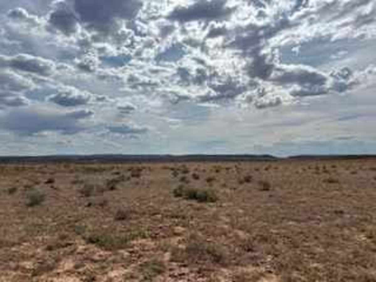BLM 2086A photo 2