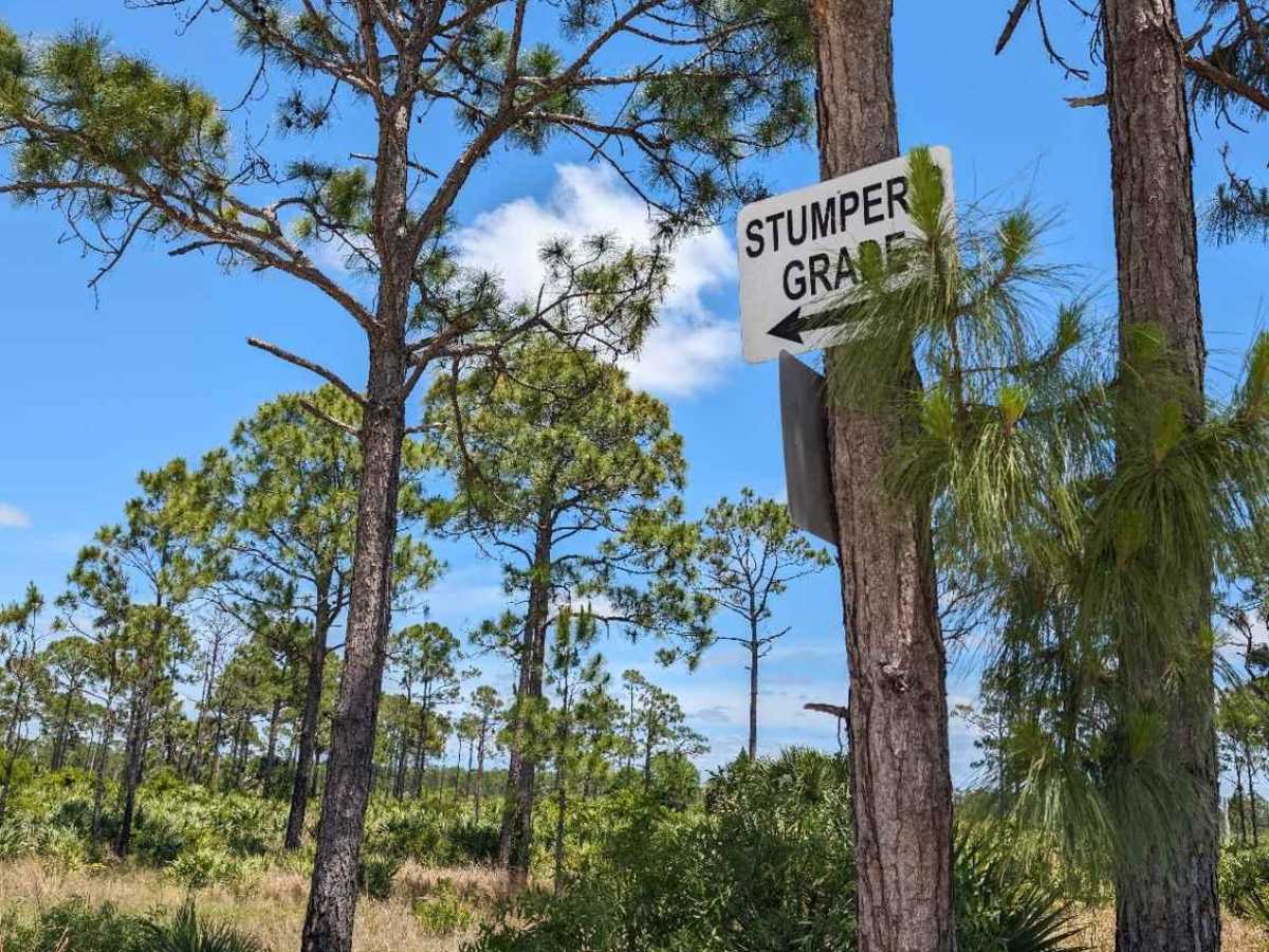 Stumpers Grade Trail photo 2