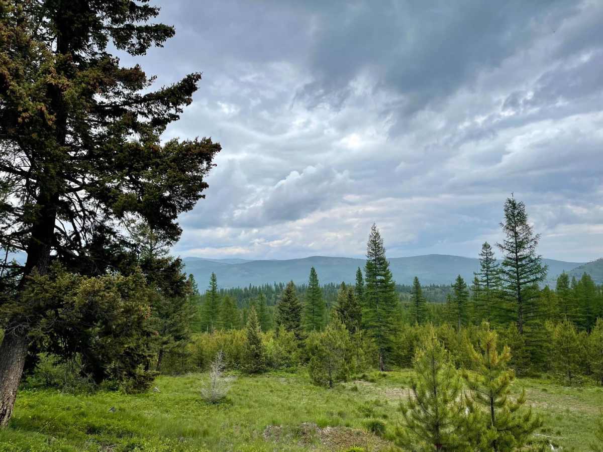 East Fork Rattlesnake trail photo