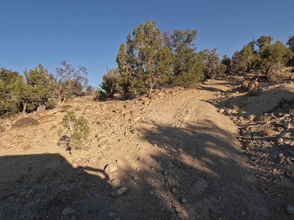 Waterline Connector - BLM10005 photo 2