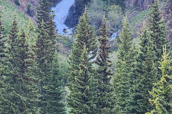 North Henson Creek Road