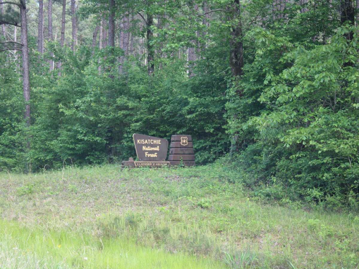 North Shore Drive on Corney Lake trail photo