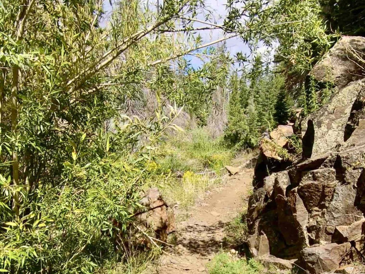 Rattlesnake Creek photo 6