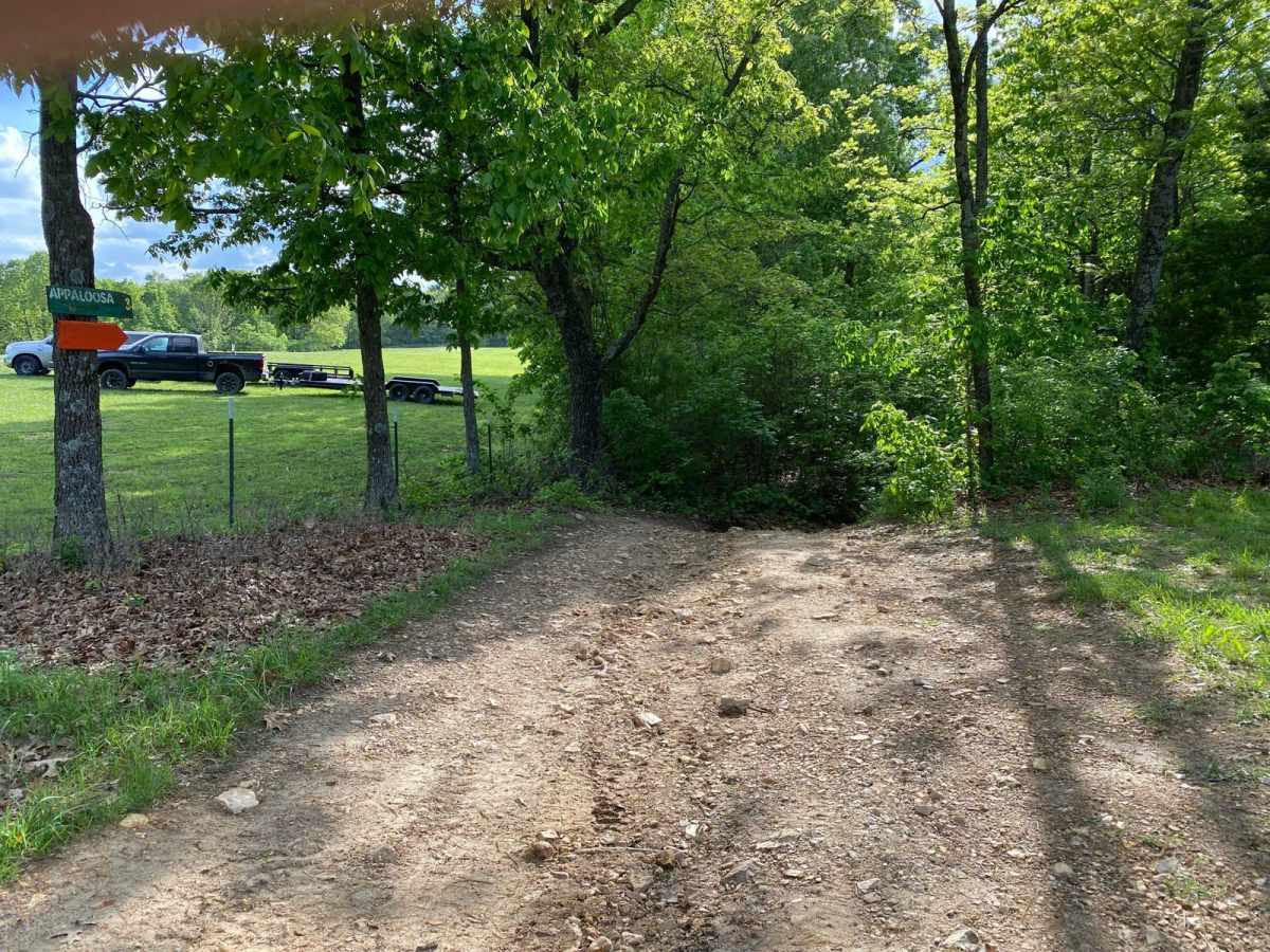 Appaloosa trail photo