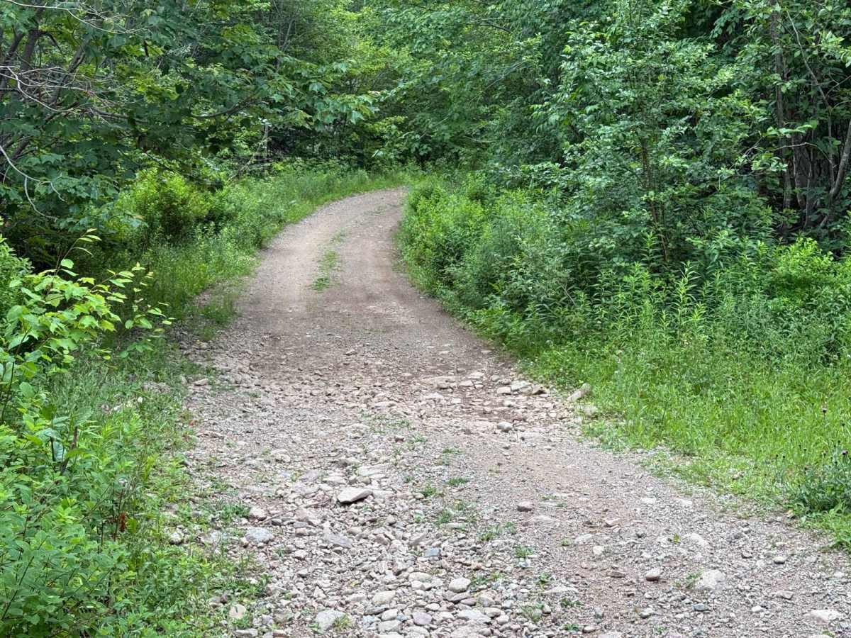 Lewis Mountain Road photo 4