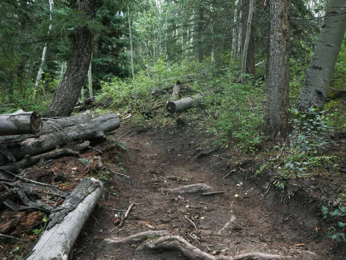 Chicken Creek Trail photo 2