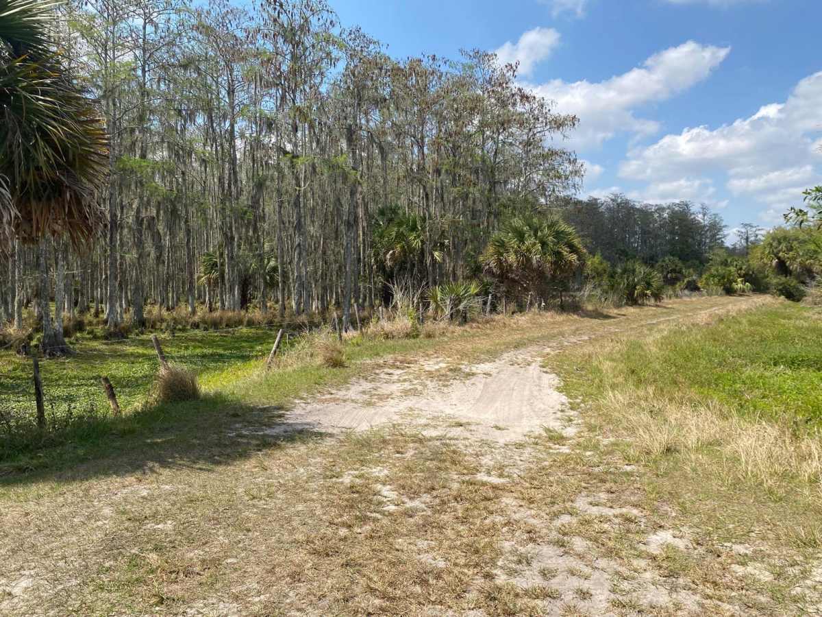 Road 10 photo 6
