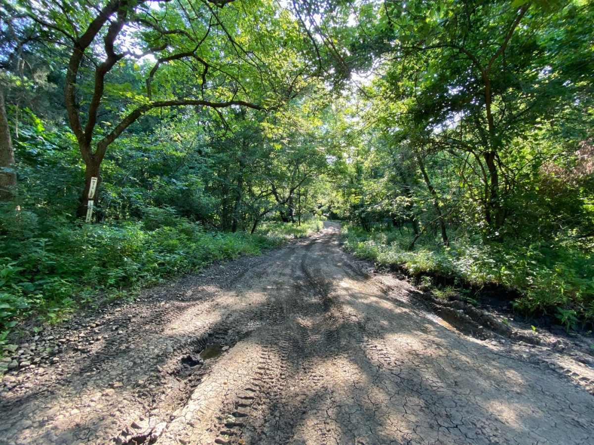 East Hill trail photo