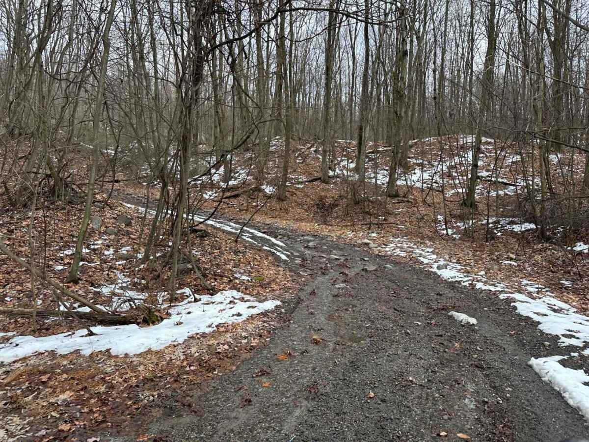 Ashland 83 trail photo