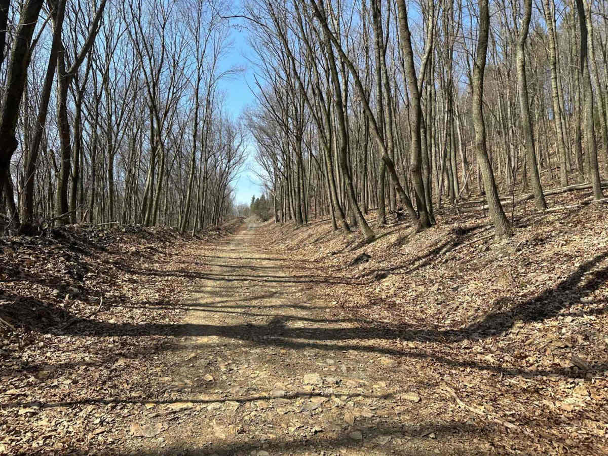 Ashland 108 photo 4