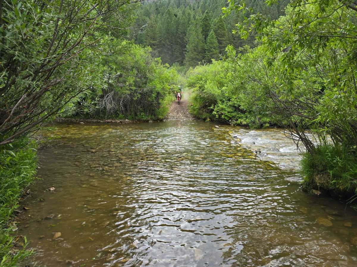 Rainey Creek- Mike Spencer Loop trail photo