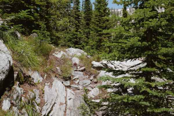 Ditch Creek