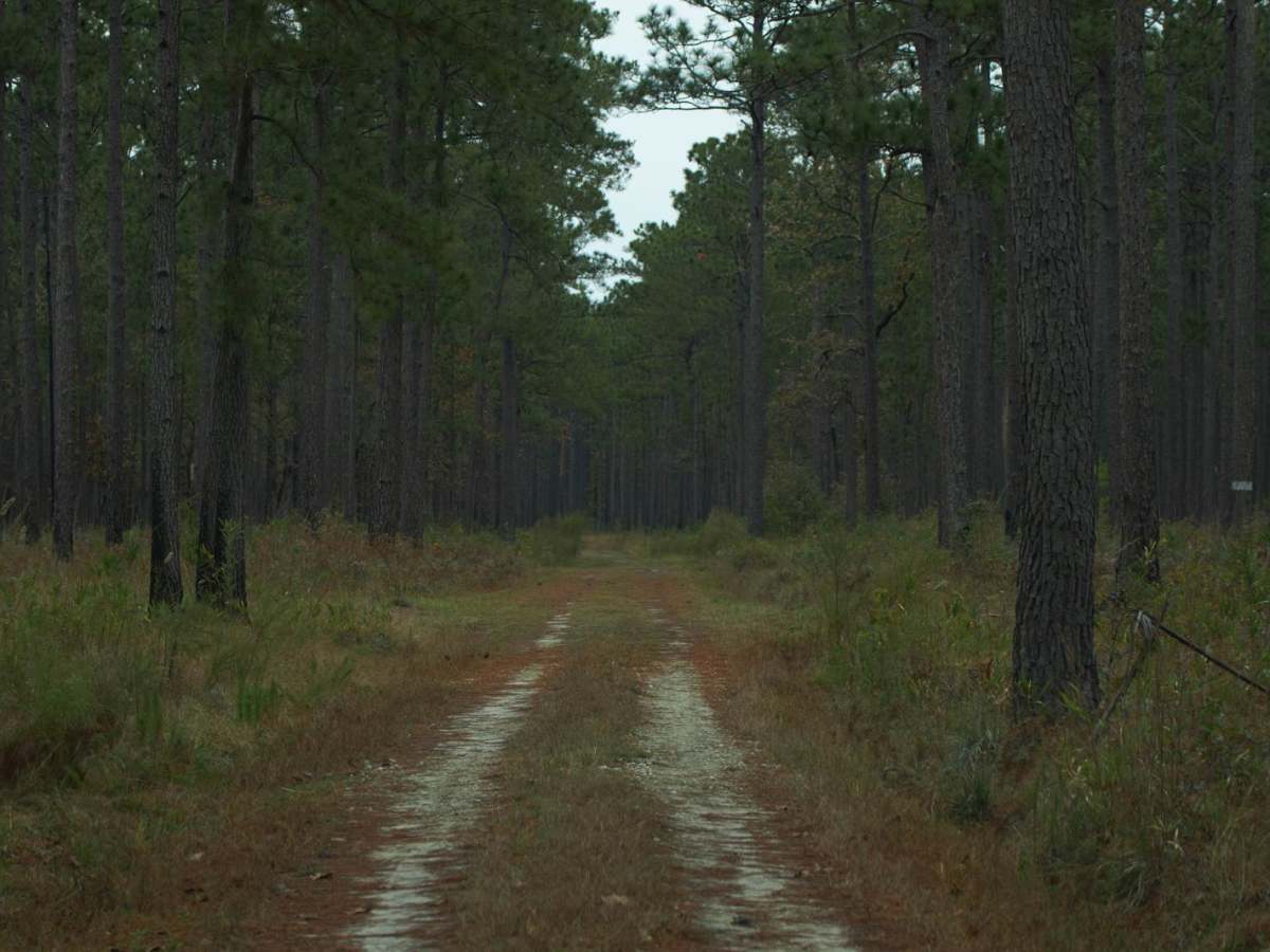 Donnelly WMA PT.6 photo 2