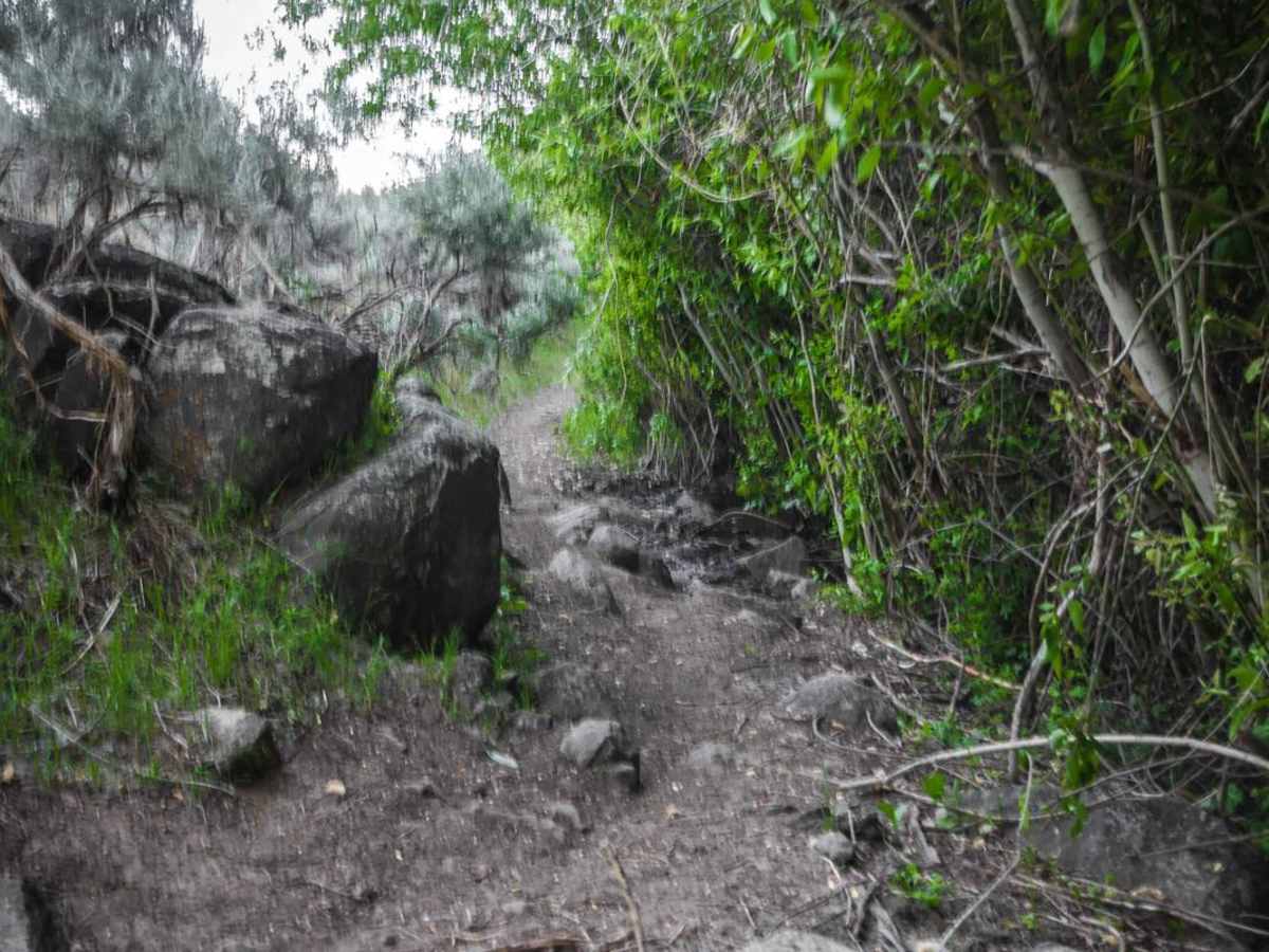 Lower Dry Gulch photo 2