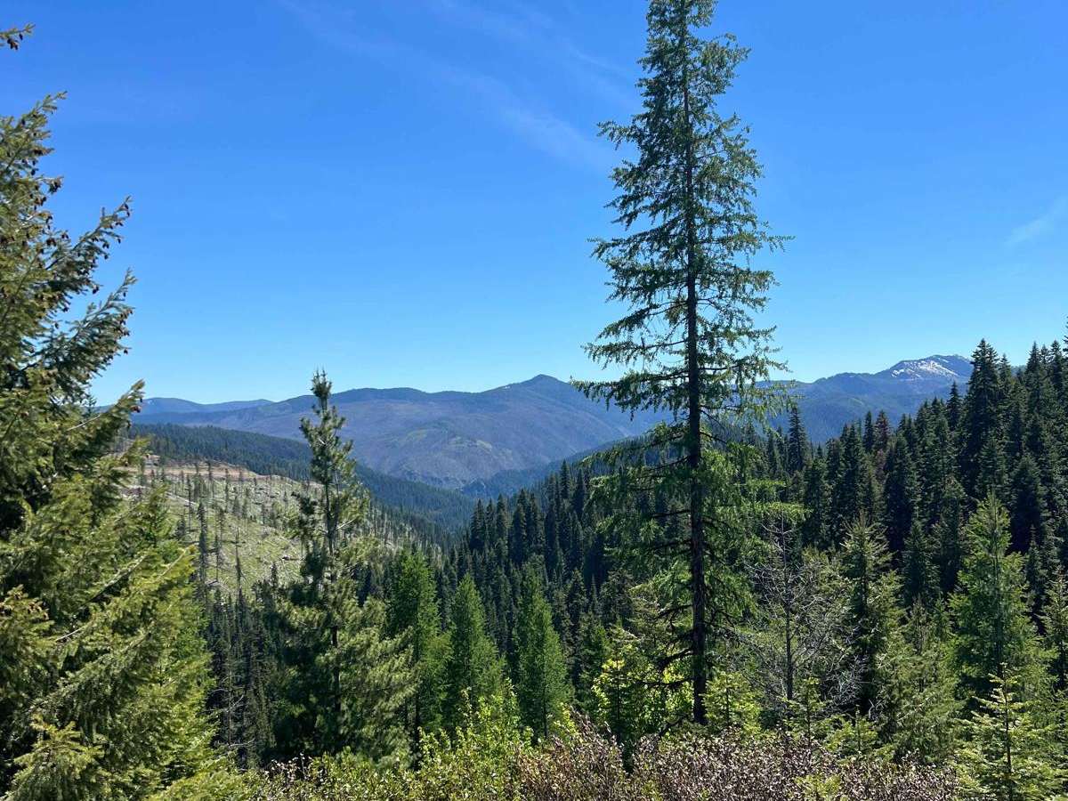 Bird Creek Divide photo 4