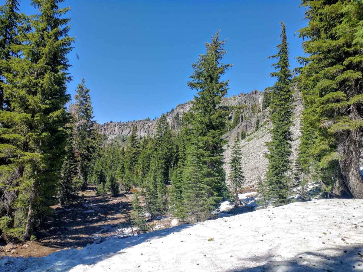 Ellis Lake Trail photo 3