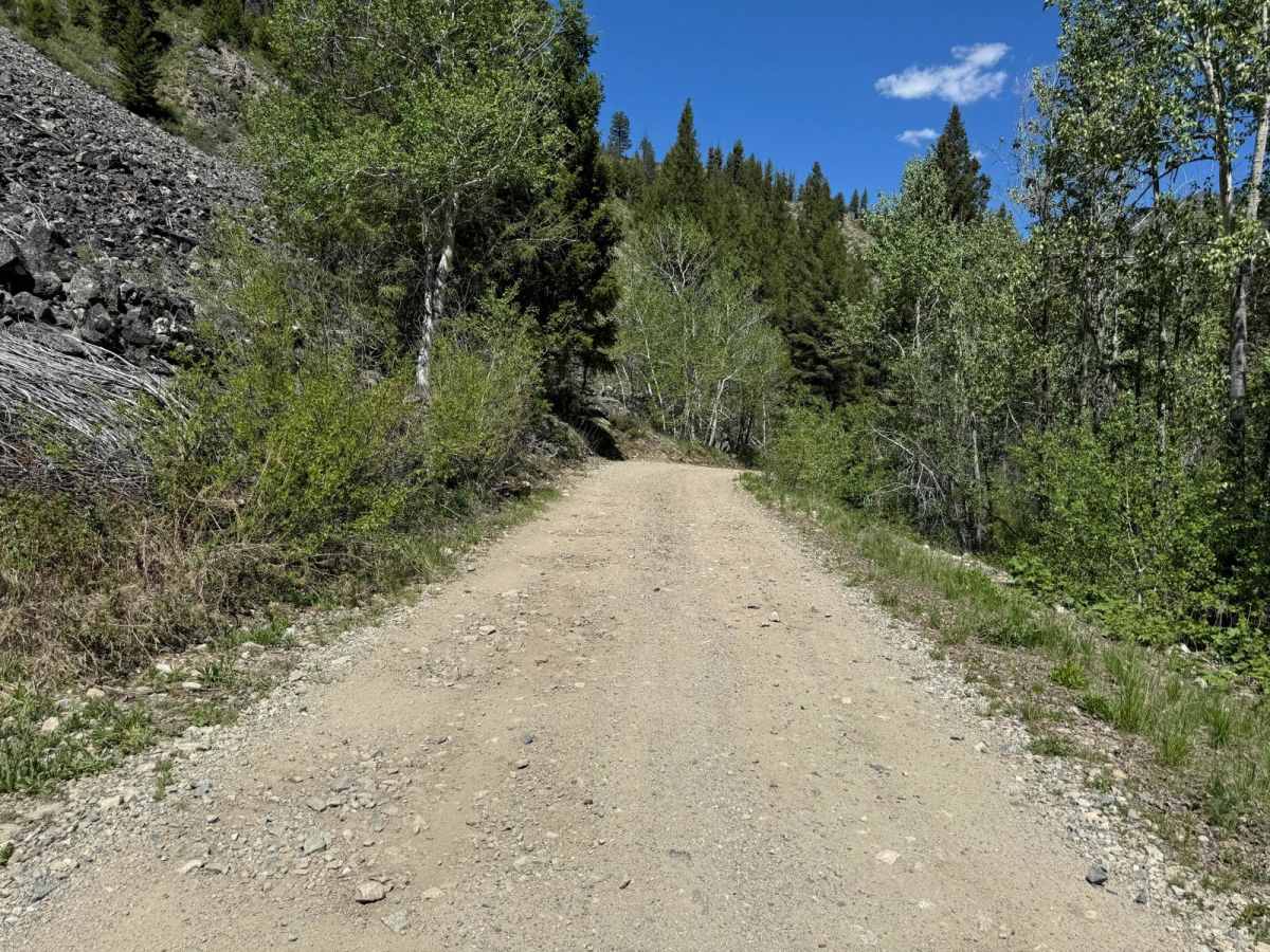 Beaver Loon Road - FS Trail 172 photo 4
