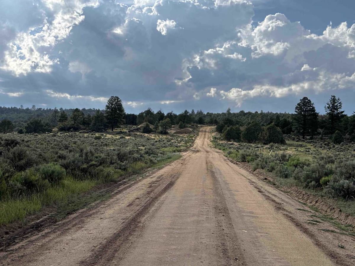 American Canyon - FSR 310 photo 2