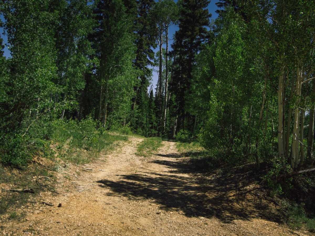 FR 400 trail photo