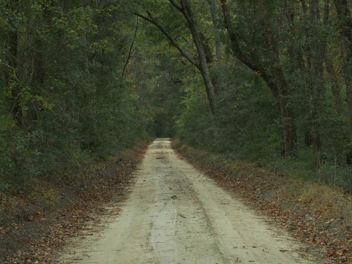 Donnelly WMA PT.5 photo 5