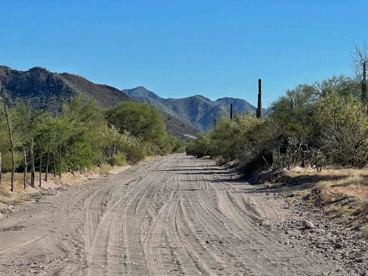 To Mulege Back Farms photo 5